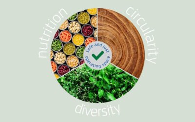 Un informe elaborado para la UE insta a reformar los sistemas alimentarios para impulsar la recuperación de la COVID-19