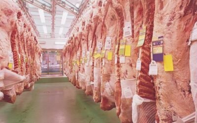 El Gobierno filipino autoriza la entrada de carne de vacuno española