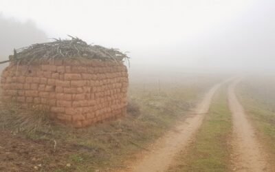 La polémica convergencia y el RD de la PAC transitoria.   Por Eduardo Moyano Estrada (IESA-CSIC)