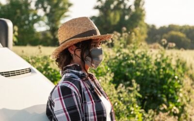 La Reserva nacional distribuyó casi 13,6 M€ de derechos de pago básico a 2.922 jóvenes y nuevos agricultores de la campaña PAC 2020