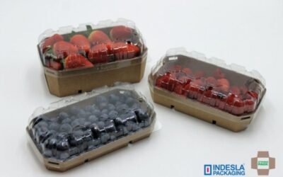 SP Soluciones Agrícolas e Indesla lanzan un envase sostenible para frutos rojos