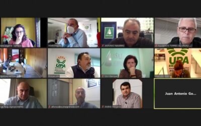 La interprofesional Hortyfruta denuncia graves alteraciones en el mercado del tomate