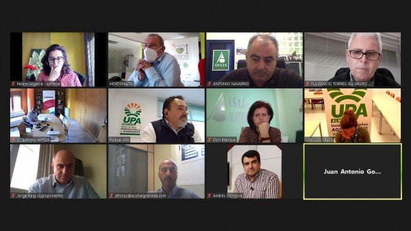 La interprofesional Hortyfruta denuncia graves alteraciones en el mercado del tomate