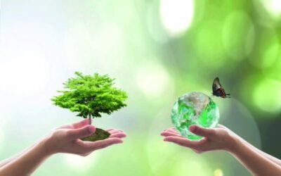 Afepasa recibe la medalla de oro a la Sostenibilidad de Ecovadis