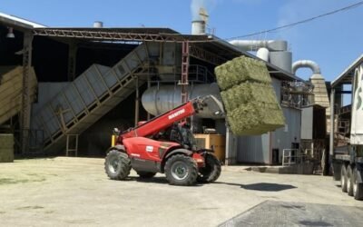 La producción estimada de alfalfa deshidratada se situará en 1,45 Mt en la campaña 2020/21