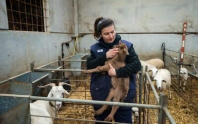 ¿Cómo logramos que los jóvenes apuesten por la agricultura? *.  Por Eduardo Moyano Estrada (IESA-CSIC. España) y Germano Ehlert Pollnow (UFP-RGS. Brasil)