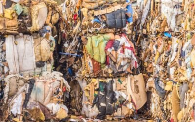 El PE reclama leyes más estrictas sobre consumo y reciclaje en el Plan de Acción para la Economía Circular de la UE