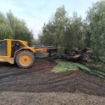 Las cooperativas agroalimentarias calibran su competitividad a través de la sostenibilidad