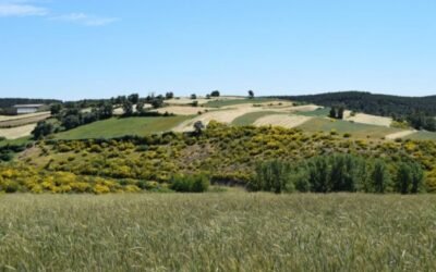 La UE-27 corre el riesgo de abandono de 5 Mha de superficie de tierras de aquí a 2030