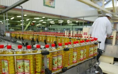 El BOE publica por fin las normas de autorregulación y de panel de cata de aceite de oliva