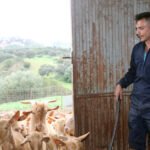 Agricultores y ganaderos jóvenes toman el relevo generacional en un sector altamente envejecido