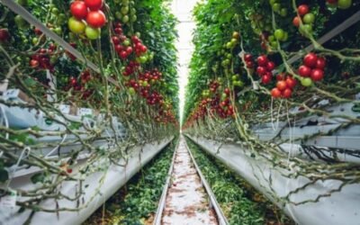 EU Automation presenta sus soluciones para el mantenimiento de un sistema de riego de baja de presión alimentado por energía solar