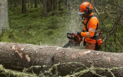 Husqvarna lanzará este año una nueva generación de motosierras para uso profesional