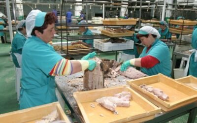 Adecco: trabajos en el sector alimentario que más cuestan cubrir en España