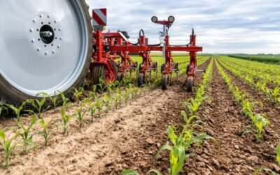 Steketee cierra el ejercicio 2020 con un incremento en sus ventas del 30%