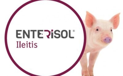 Enterisol Ileitis de Boehringer autorizada para reducir la Salmonella