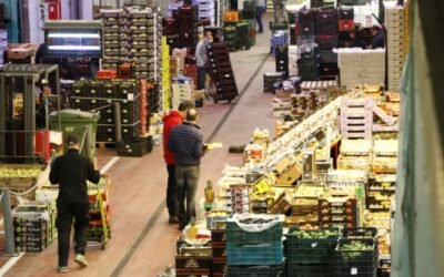 Crece en valor, 14.594 M€, la exportación hortofrutícola española, pero cae en volumen, -2,8%