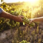 Piden más fondos y herramientas para avanzar en unos objetivos de Desarrollo Sostenible en los que España está en la cola