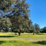 Esta vez sí, la PAC de la convergencia