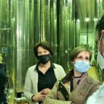 Otro sector afectado: El decreto de la PAC «asesta una puñalada al corazón del olivar andaluz»