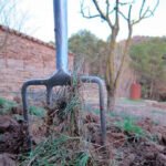 Planas ante las «informaciones inexactas» sobre la PAC: No hay nada cerrado y no se pretende excluir a un número elevado de perceptores