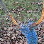 Daños en los cultivos por la fauna salvaje: Estudian pedir indemnizaciones por la desidia e inacción de las administraciones