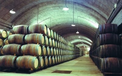 La Federación Española del Vino presenta en el MAPA sus iniciativas para aprovechar el Plan de Recuperación europeo