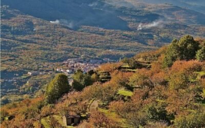 El MAPA calcula que la Renta Agraria mejoró en 1.240 M€ en 2020 sobre el año anterior