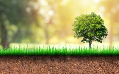 «Innovación y tecnología hacia la nueva normalidad de la agricultura»