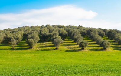 El seguro agrario bate récords en 2020