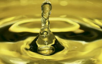 Campaña oleícola en Italia: producción y calidad a la baja