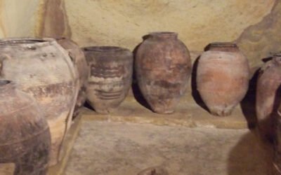 Encuentran indicios de producción de aceite de oliva en el Bajo Aragón en el siglo I a.C.