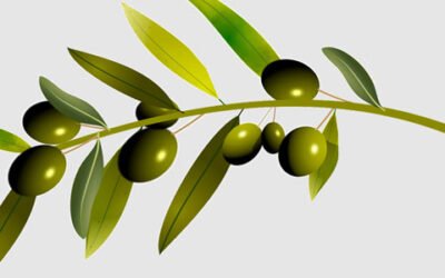 El BOE publica el Real Decreto que permitirá la autorregulación del sector del aceite de oliva