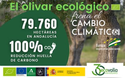 Campaña divulgativa de Ecovalia, «El olivar ecológico frena el cambio climático»