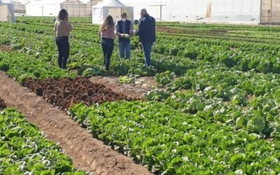 Murcia: Jornadas de puertas abiertas de los centros de investigación