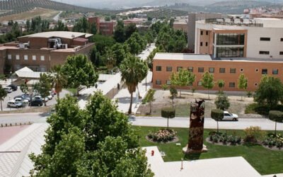 La UJA ofrece servicios de orientación profesional en el marco del Máster en Olivar y Aceite de Oliva