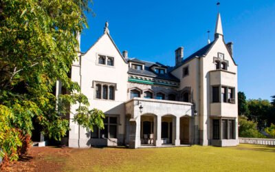 Beca Castillo de Canena en la MOM Culinary Institute