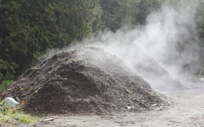 Programa de proyectos basados en el biogás y en el compost a partir de residuos agroalimentarios