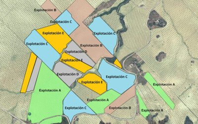 La opinión de los agricultores sobre posibles formas de cooperación productiva