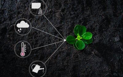 ¿Qué implicaciones tendrá para la agricultura europea el desarrollo próspero de la inteligencia artificial?