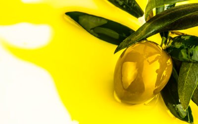 La Diputación de Ávila y el ITACyL se unen para avanzar hacia la DO de aceite de oliva del Tiétar