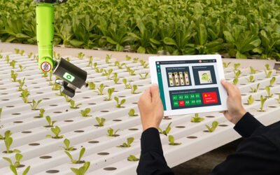 En busca de proyectos innovadores en el sector agroalimentario para el Sur de Europa