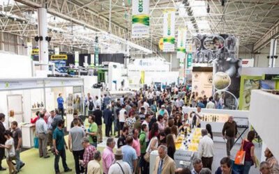 Expoliva multiplica por 90 su impacto económico en 36 años