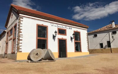 «Estamos en un momento en el que podríamos dar la vuelta al consumo, con promoción y sobre todo formación al consumidor»