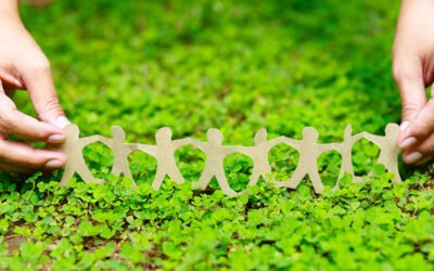 Grupo Interóleo obtiene el certificado de RSE y refuerza su apuesta por la gestión profesionalizada en la comercialización del aceite de oliva