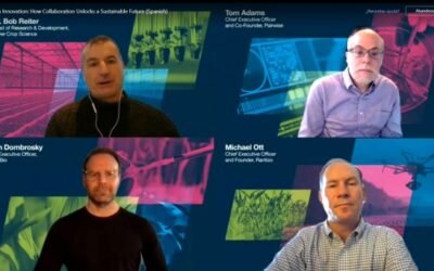 Cómo la colaboración abre un futuro sostenible: el modelo de innovación abierta de Bayer