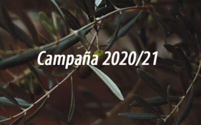 Balance de la campaña 2020/21 en los principales países productores