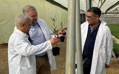 Primeros pasos para impulsar la producción local de AOVE en Mauritania