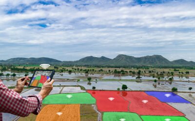 Nuevas aplicaciones de la teledetección en la agricultura de precisión