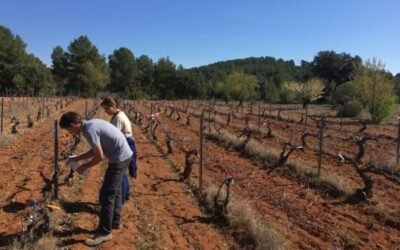 El MAPA destinará un millón de euros a la formación práctica de jóvenes agricultores y ganaderos